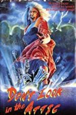 Watch Don\'t Look in the Attic 0123movies