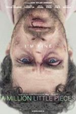 Watch A Million Little Pieces 0123movies