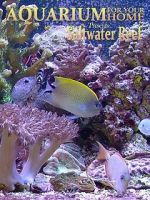 Watch Aquarium for Your Home: Saltwater Reef 0123movies