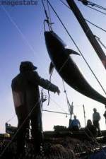 Watch National Geographic: Cheating Death Tuna Cowboys 0123movies