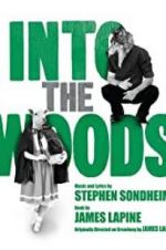 Watch Into the Woods 0123movies