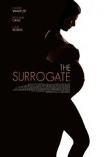 Watch The Secret Life of a Celebrity Surrogate 0123movies