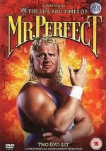 Watch The Life and Times of Mr. Perfect 0123movies
