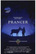 Watch Prancer 0123movies