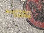 Watch Aberrant Forms: A Jurassic Short 0123movies