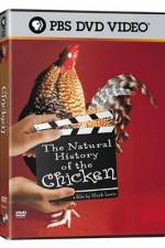 Watch The Natural History of the Chicken 0123movies