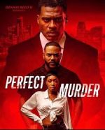 Watch Perfect Murder 0123movies