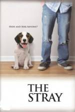 Watch The Stray 0123movies