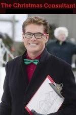 Watch The Christmas Consultant 0123movies