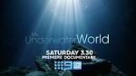 Watch My Underwater World (TV Special 2024) 0123movies