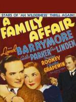Watch A Family Affair 0123movies