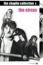 Watch The Circus 0123movies