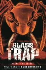 Watch Glass Trap 0123movies