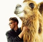 Watch Mikolas Josef: Lie to Me 0123movies