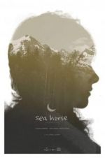 Watch Sea Horse 0123movies