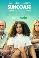 Watch Suncoast 0123movies