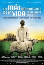 Watch The Most Important Thing in Life Is Not Being Dead 0123movies