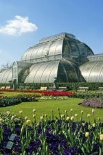 Watch Cruickshank on Kew: The Garden That Changed the World 0123movies