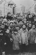 Watch AUSCHWITZ: LIBERATION AND REVENGE 0123movies