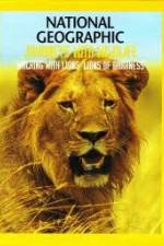 Watch National Geographic: Walking with Lions 0123movies