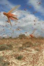 Watch Swarm Chasers: Locusts 0123movies
