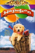 Watch Napoleon 0123movies