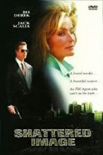 Watch Shattered Image 0123movies