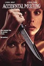 Watch Accidental Meeting 0123movies