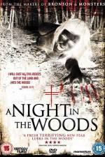 Watch A Night in the Woods 0123movies