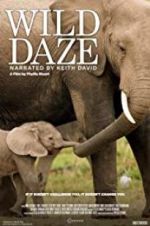 Watch Wild Daze 0123movies