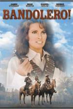 Watch Bandolero! 0123movies