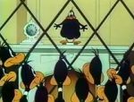 Watch Cracked Quack (Short 1952) 0123movies