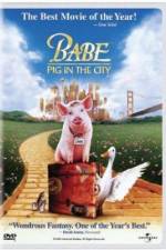 Watch Babe: Pig in the City 0123movies