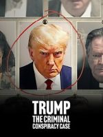 Watch Trump: The Criminal Conspiracy Case 0123movies