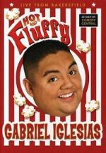 Watch Gabriel Iglesias: Hot and Fluffy 0123movies