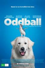 Watch Oddball 0123movies