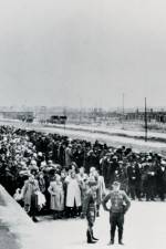 Watch AUSCHWITZ: SURPRISING BEGINNINGS 0123movies