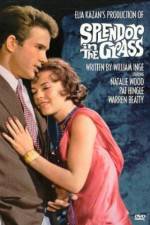 Watch Splendor in the Grass 0123movies