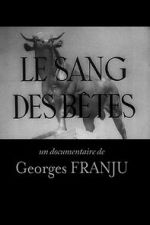 Watch Blood of the Beasts (Short 1949) 0123movies