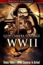 Watch Gun Camera Footage WWII 0123movies