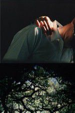 Watch The Hedge Theater 0123movies