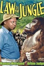 Watch Law of the Jungle 0123movies
