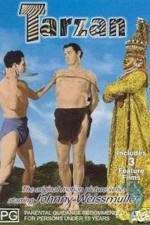 Watch Tarzan and the Mermaids 0123movies
