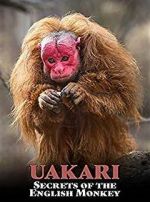 Watch Uakari: Secrets of the English Monkey 0123movies