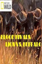 Watch National Geographic - Blood Rivals: Lion vs. Buffalo 0123movies