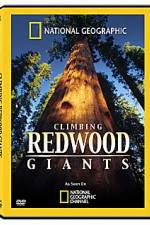 Watch National Geographic Explorer: Climbing Redwood Giants 0123movies