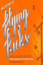 Watch The Mystery of Flying Kicks 0123movies