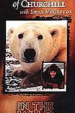 Watch The Polar Bears of Churchill with Ewan McGregor 0123movies