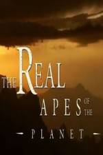 Watch The Real Apes of the Planet 0123movies