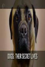 Watch Dogs: Their Secret Lives 0123movies